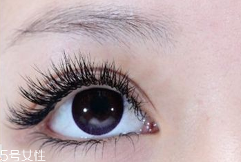 葉黃素什么時候吃最好？