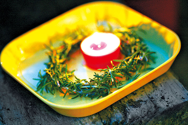 盆栽香草怎么養(yǎng) 盆栽香草怎么養(yǎng)