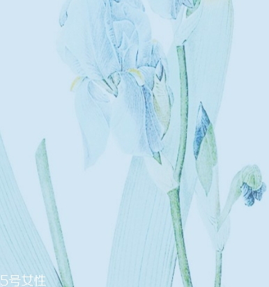 yavanna瑞士漾蘭是什么牌子？哪國的