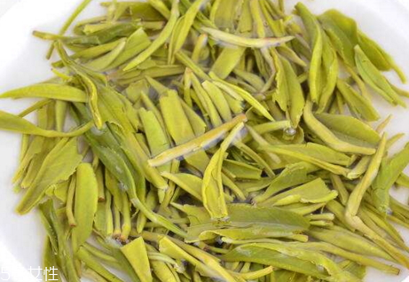 毛尖為什么苦 那是茶葉的苦香 毛尖為什么苦 那是茶葉的苦香