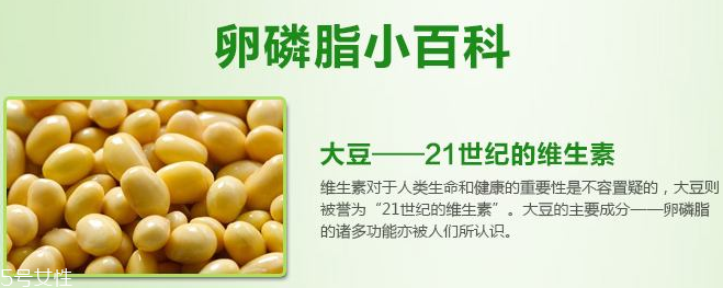 卵磷脂什么時候吃最好？早晚飯前最佳