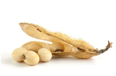 卵磷脂青少年可以吃嗎？吃了益處多