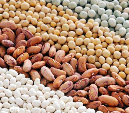 卵磷脂晚上吃可以嗎？最好是晚飯前