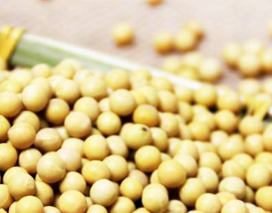 卵磷脂孕婦能吃嗎？適當(dāng)吃有益身體