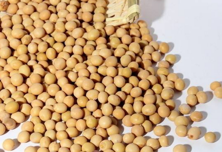 卵磷脂孕婦能吃嗎？適當(dāng)吃有益身體