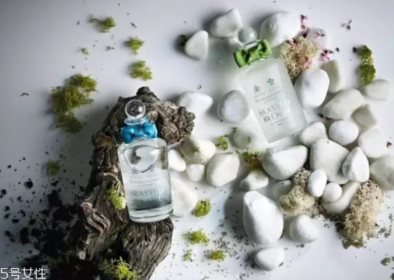 水生調(diào)香水有幾種？這三款香水讓你迷死人