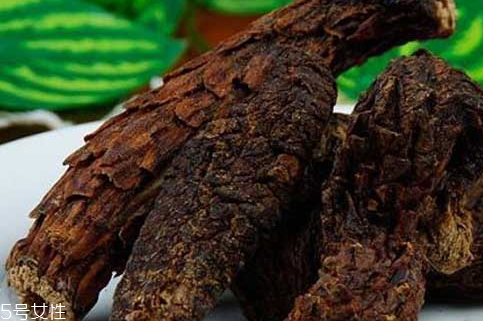 肉蓯蓉是涼性還是熱性 性質(zhì)溫和的補(bǔ)腎陽(yáng) 肉蓯蓉是涼性還是熱性 性質(zhì)溫和的補(bǔ)腎陽(yáng)