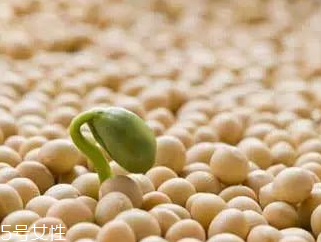 卵磷脂和海藻粉的區(qū)別 功效上有區(qū)別 卵磷脂和海藻粉的區(qū)別 功效上有區(qū)別