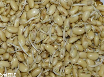 卵磷脂和海藻粉的區(qū)別 功效上有區(qū)別 卵磷脂和海藻粉的區(qū)別 功效上有區(qū)別