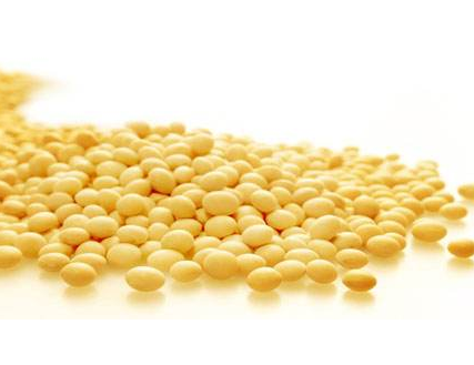 卵磷脂可以單獨吃嗎？