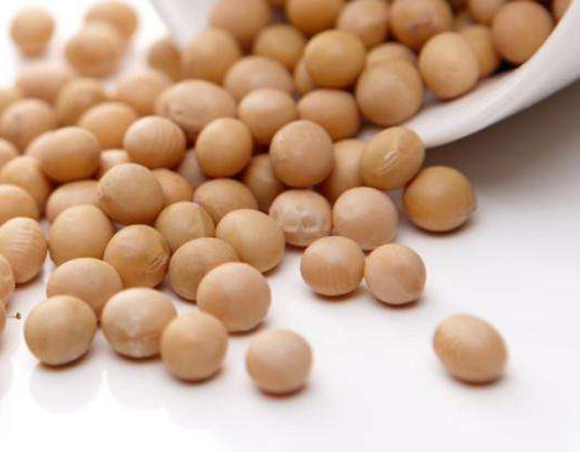 卵磷脂能和鈣一起吃嗎？分開服用為佳