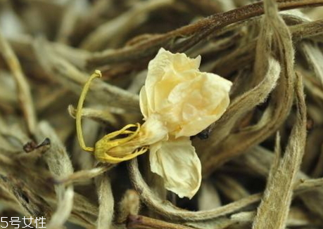 茉莉茶怎么泡 開水沖泡即可 茉莉茶怎么泡 開水沖泡即可