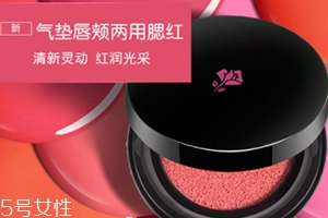 2022氣墊腮紅哪個(gè)牌子好用？