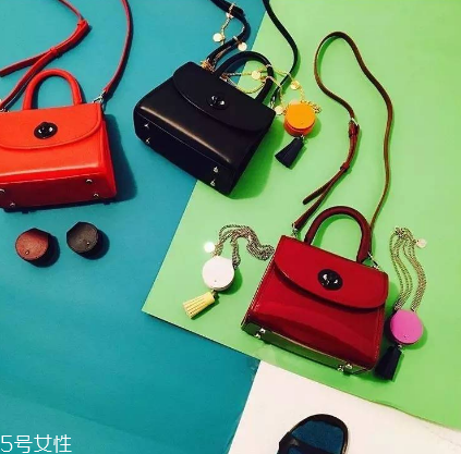 joseph stacey是什么牌子？美貌和實用兼具