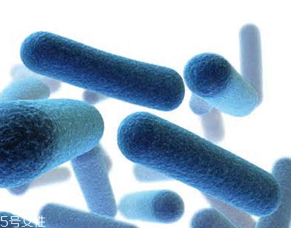 蝦青素是怎么提取的？過程很復(fù)雜