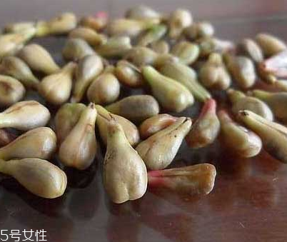 葡萄籽是寒性的嗎？屬于寒性