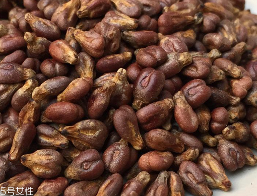 葡萄籽是葡萄的籽嗎？