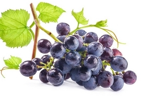 葡萄籽是維生素e嗎？并不是維生素e