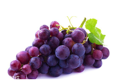 葡萄籽是維生素e嗎？并不是維生素e