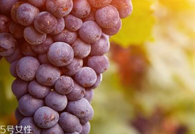 葡萄籽是什么味道？有點(diǎn)澀澀的