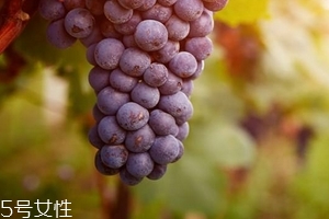 葡萄籽會影響月經(jīng)嗎？吃法正確就不會
