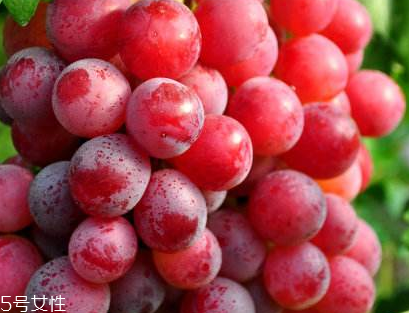 葡萄籽會發(fā)胖嗎？不會發(fā)胖