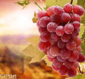 葡萄籽會影響睡眠嗎？這個肯定不會