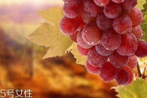 葡萄籽會(huì)便秘嗎？葡萄籽能緩解便秘