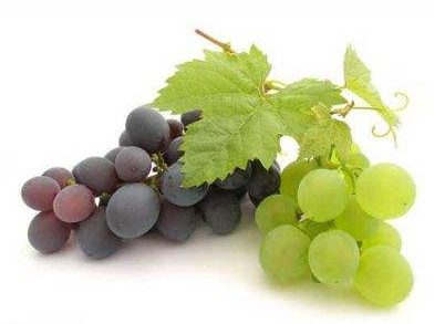 葡萄籽好還是膠原蛋白好？各有千秋