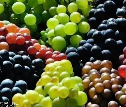 葡萄籽好還是膠原蛋白好？各有千秋