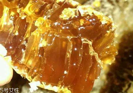 土蜂蜜可以擦臉嗎 對(duì)皮膚的好處頗多 土蜂蜜可以擦臉嗎 對(duì)皮膚的好處頗多