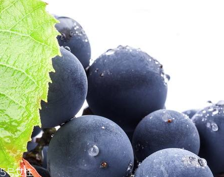 葡萄籽配什么吃效果更佳？