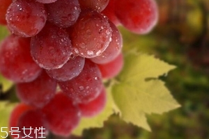 葡萄籽泡水喝有作用嗎？美容保健