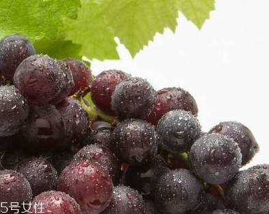 葡萄籽能和感冒藥一起吃嗎？