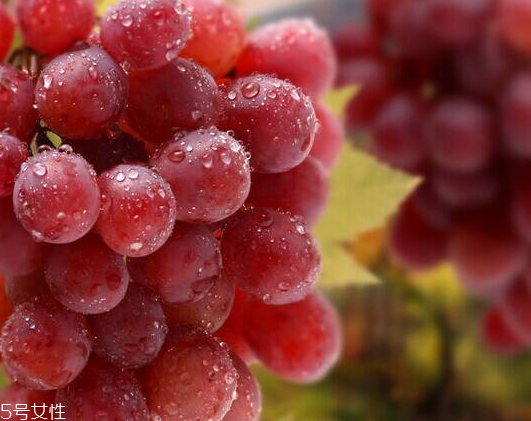 葡萄籽能和感冒藥一起吃嗎？