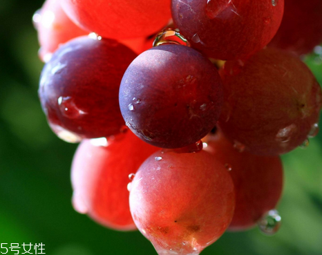 葡萄籽可以空腹吃嗎？要分情況