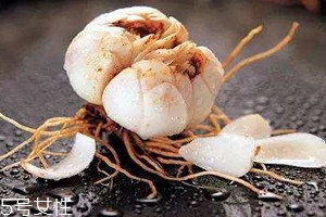 新鮮百合怎么吃 可以直接生吃