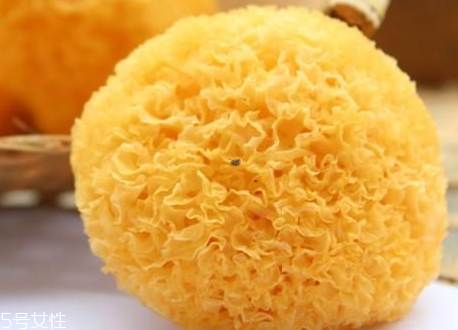 丑耳要泡多久 幾分鐘即可泡發(fā) 丑耳要泡多久 幾分鐘即可泡發(fā)