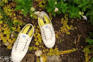 novesta可以在哪里買？來自中歐的手工品牌