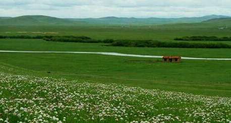 郁美凈和青蛙王子哪個(gè)好？