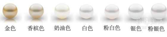 南洋珍珠什么顏色最好？