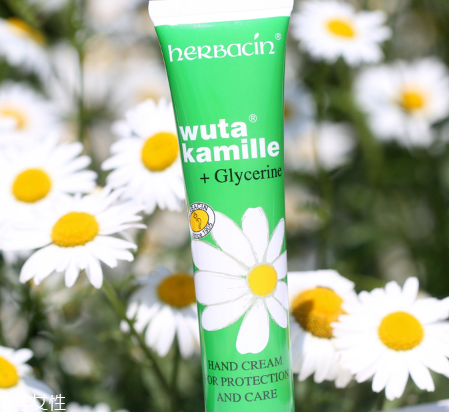 小甘菊護手霜有兩種嗎 德國小甘菊護手霜的價格 小甘菊護手霜有兩種嗎 德國小甘菊護手霜的價格