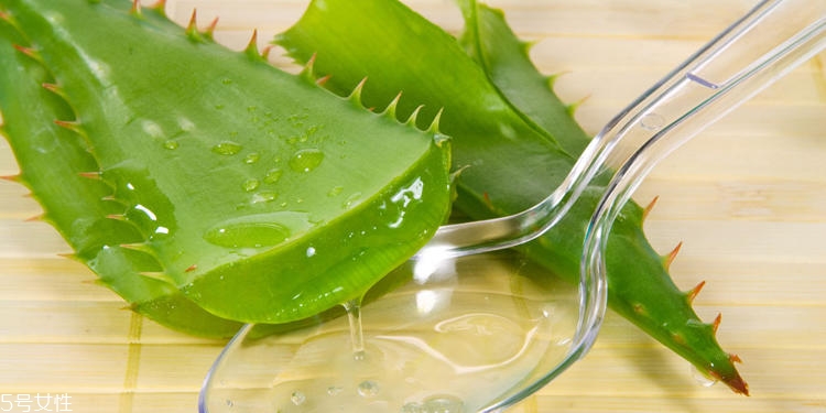 在家做面膜的簡單方法 變不美算我輸 在家做面膜的簡單方法 變不美算我輸