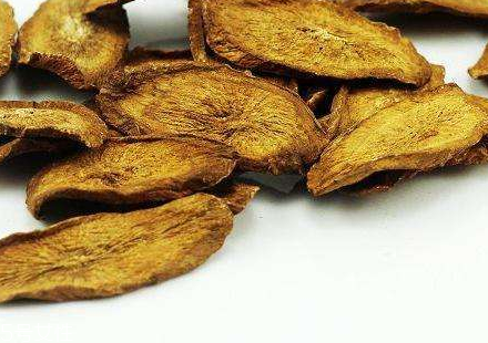 牛蒡茶是什么做的？牛蒡茶是樹根嗎？