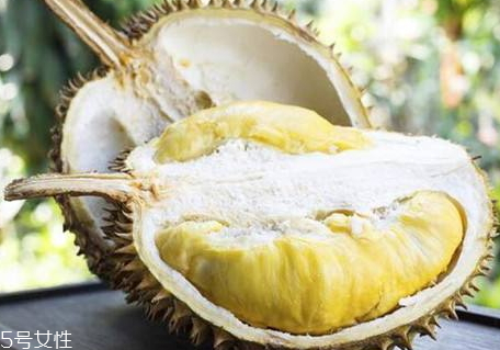 甲侖榴蓮多少錢一斤 甲侖榴蓮選購技巧 甲侖榴蓮多少錢一斤 甲侖榴蓮選購技巧