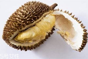 甲侖榴蓮什么時(shí)候上市 甲侖榴蓮成熟時(shí)間 甲侖榴蓮什么時(shí)候上市 甲侖榴蓮成熟時(shí)間