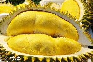 馬來(lái)西亞榴蓮是幾月 馬來(lái)西亞榴蓮成熟時(shí)間 馬來(lái)西亞榴蓮是幾月 馬來(lái)西亞榴蓮成熟時(shí)間