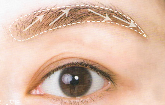 2022年最流行的眉形圖片 選對眉形瞬間變女神 2022年最流行的眉形圖片 選對眉形瞬間變女神