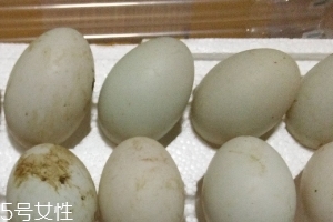 鴨蛋是酸性還是堿性？鴨蛋的性質(zhì)