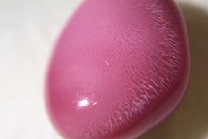 海螺珍珠價(jià)格多少錢一顆？海螺珍珠市場(chǎng)行情